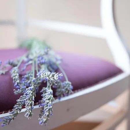 Borgo Sorbatti Bed & Breakfast Loro Piceno