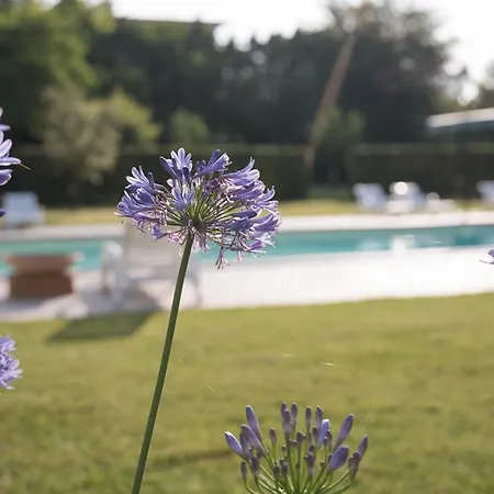 Bed & Breakfast Borgo Sorbatti Loro Piceno